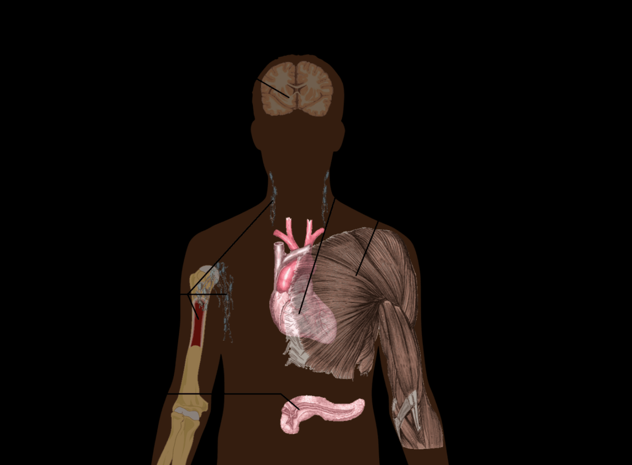 The Cascading Effects of Sleep Deprivation What Are The Long-Term Effects Of Sleep Deprivation