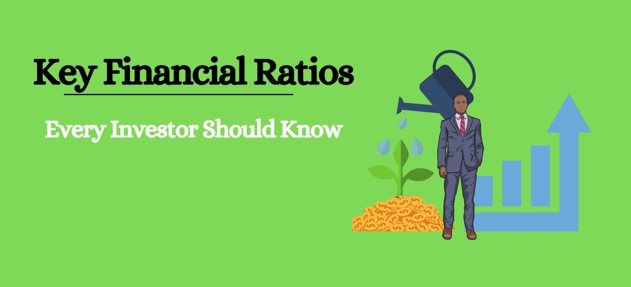 Important Financial Ratios Every Investor Should Know