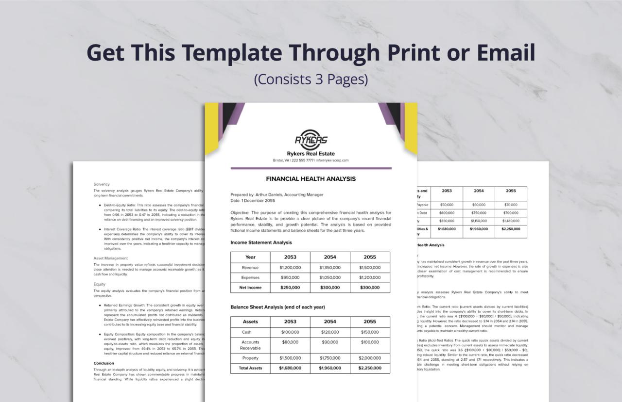 Company Financial Health Analysis Template in PDF, Word, Google Docs ...